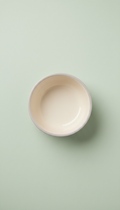 Matte Ceramic Pet Bowl