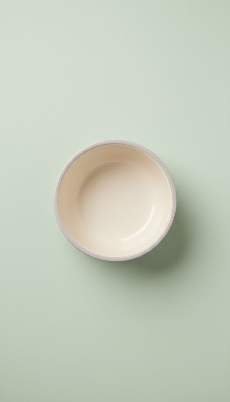 Matte Ceramic Pet Bowl